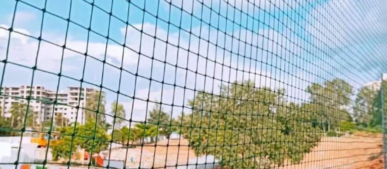 Pigeon Control Services
