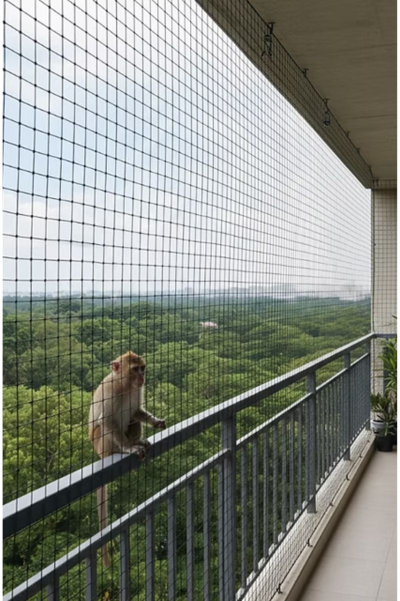 Monkey Protection Nets
